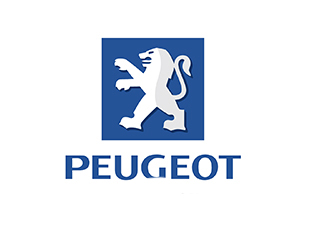 Стеллажи для Peugeot